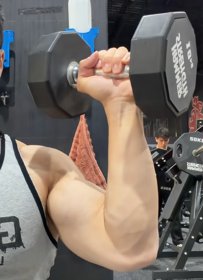 dumbbell_seated_push_correct_exp